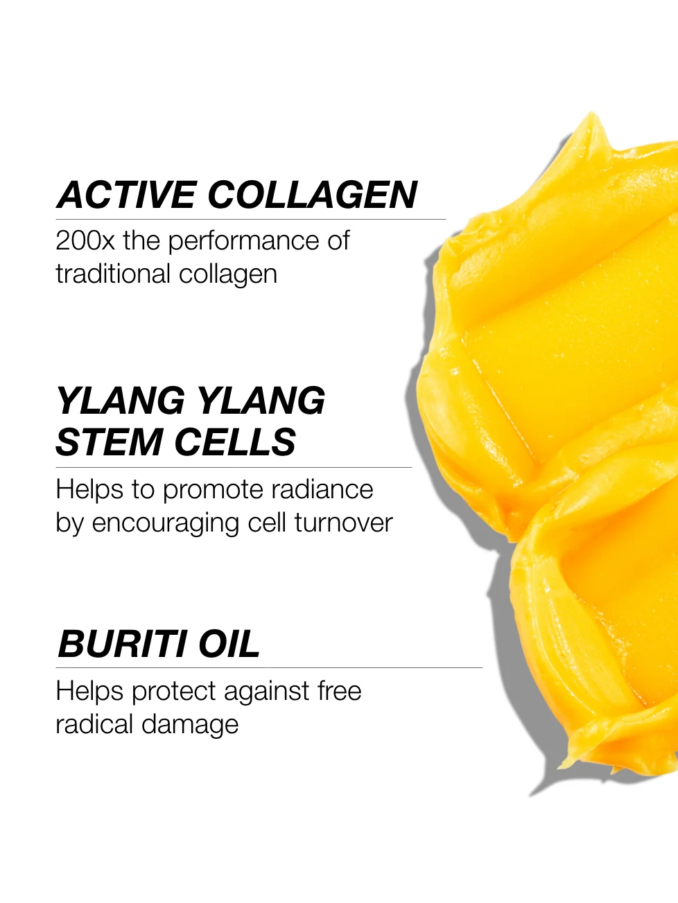 Active Collagen Discovery Set - Image 3